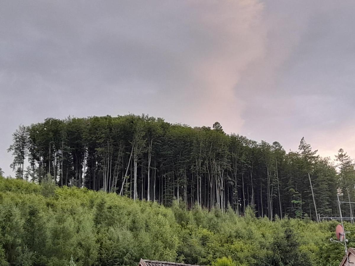Pohoda Salas U Velehradu-2 Apartmany Uherske Hradiste Luaran gambar